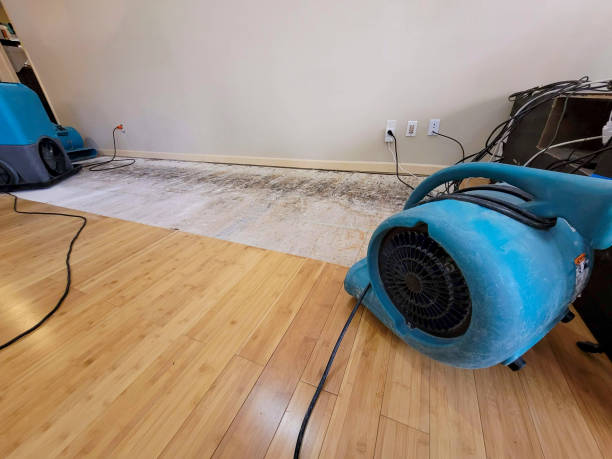 Professional Structural Drying technician working in Brookfield, WI